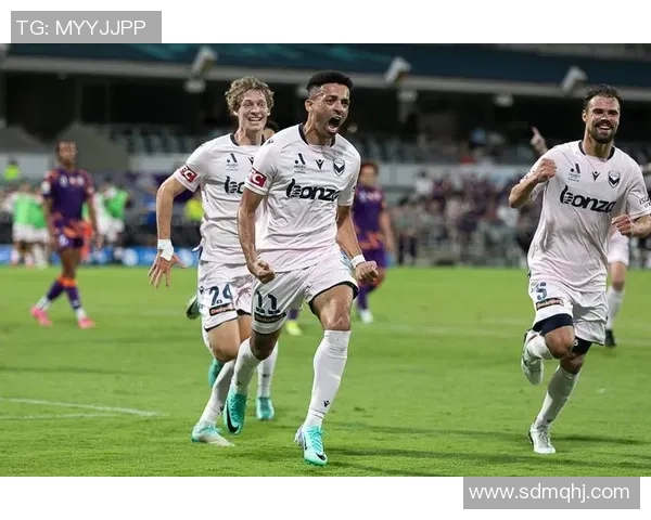 墨尔本篮球与足球明星阵容全解析及其成就回顾